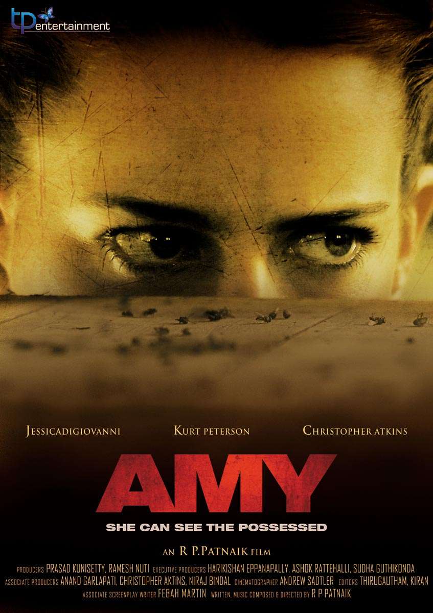 Amy - 2013 DVDRip x264 - Türkçe Altyazılı Tek Link indir