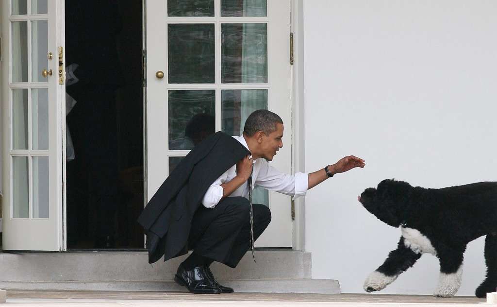 Bo, el perro de los Obama, comienza su "segundo mandato" en la Casa Blanca